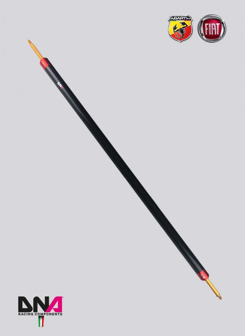 Abarth 500 EU DNA Racing Carbon Fibre Rear Strut Brace without Tie Rods Kit-Vehicle Braces-DNA Racing-Purdue Performance