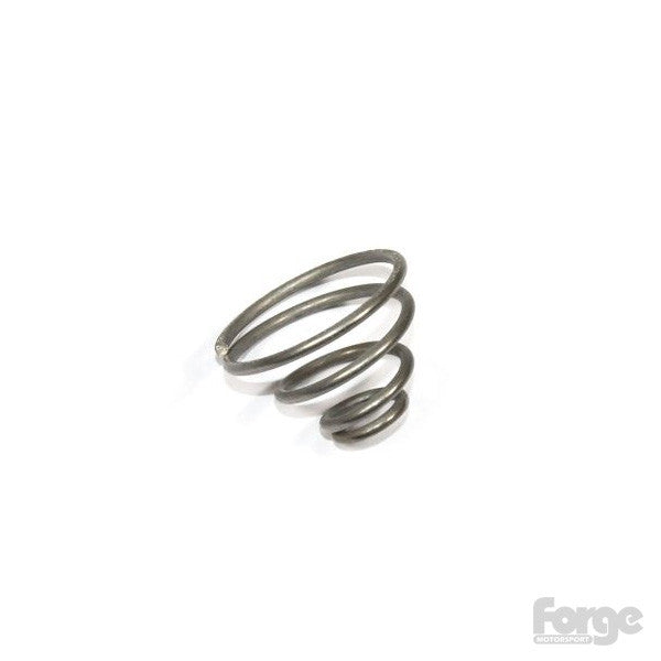 Forge Motorsport Uprated Valve Spring for RS valves-Abarth-Forge Motorsport-Standard-Purdue Performance